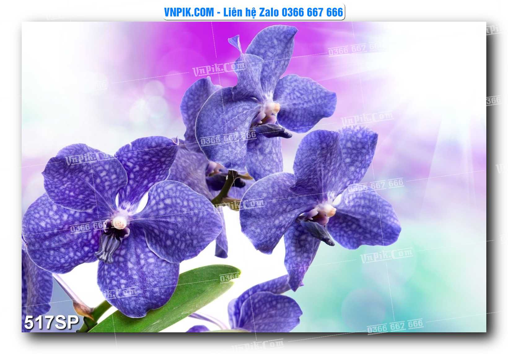 Mẫu tranh spa treo tường đẹp file vector – psd mẫu 517SP