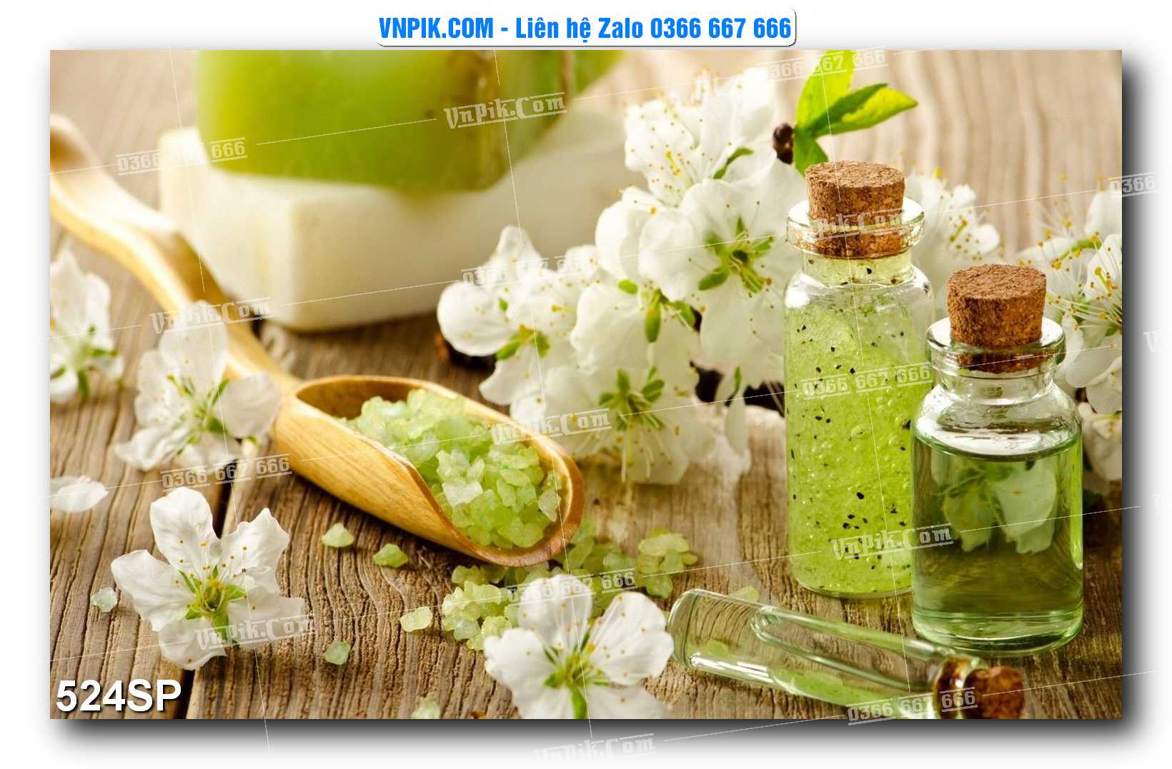 Mẫu tranh spa treo tường đẹp file vector – psd mẫu 524SP