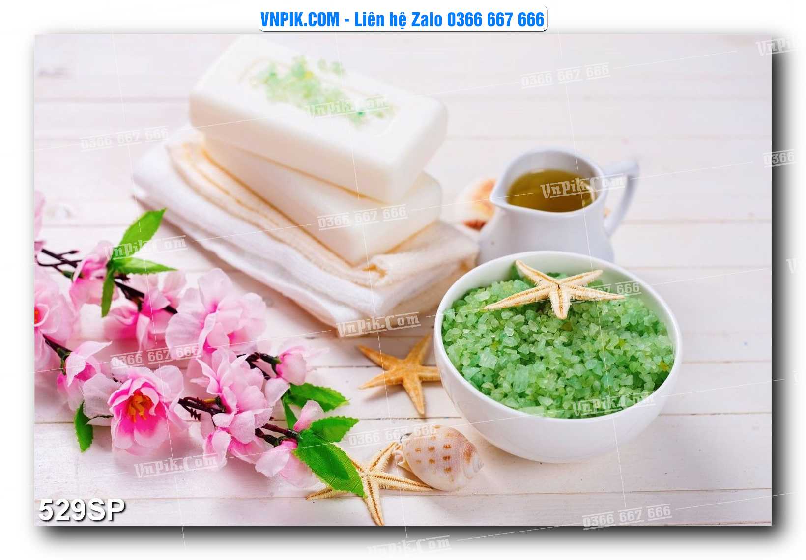 Mẫu tranh spa treo tường đẹp file vector – psd mẫu 529SP