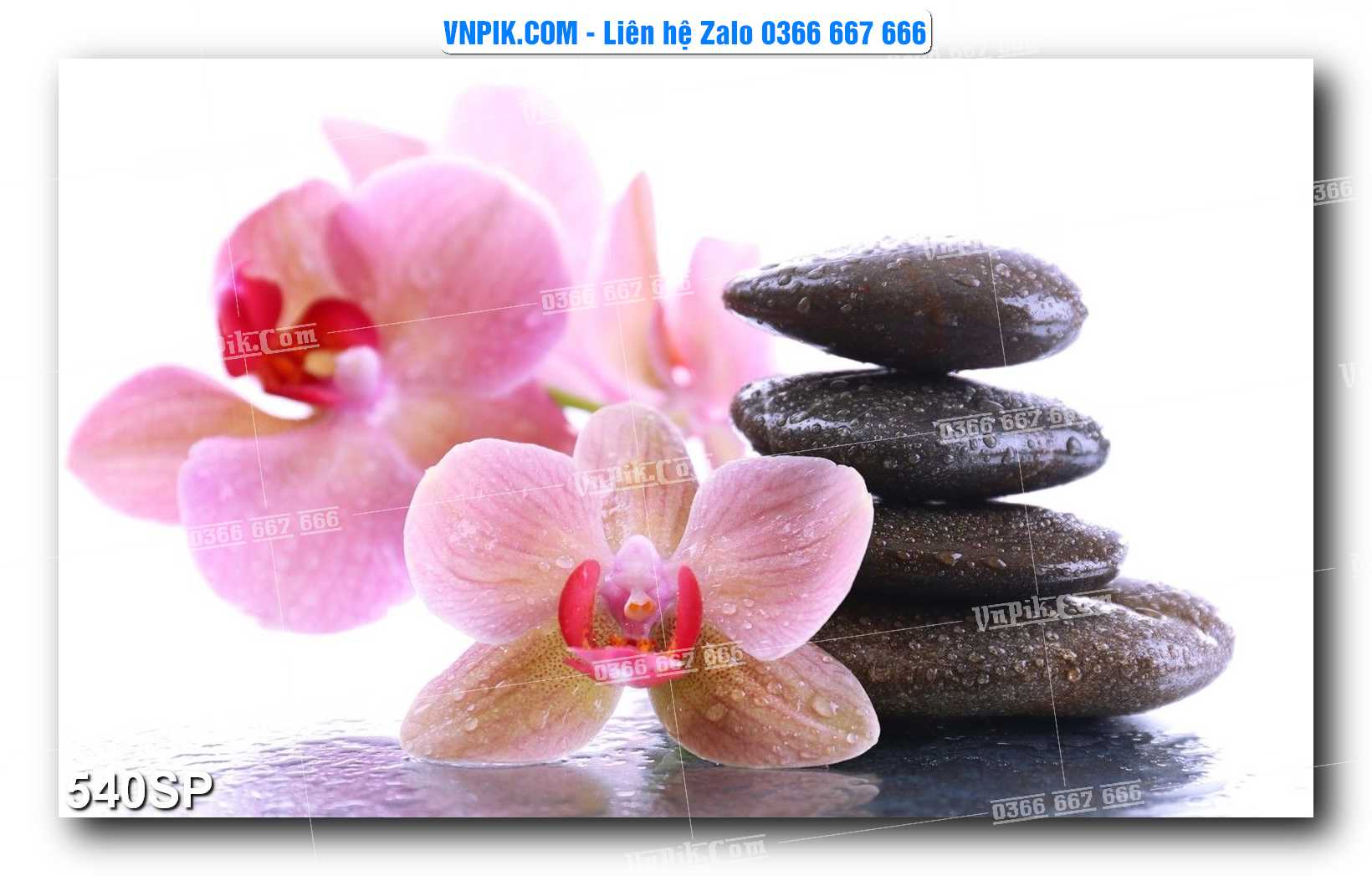 Mẫu tranh spa treo tường đẹp file vector – psd mẫu 540SP
