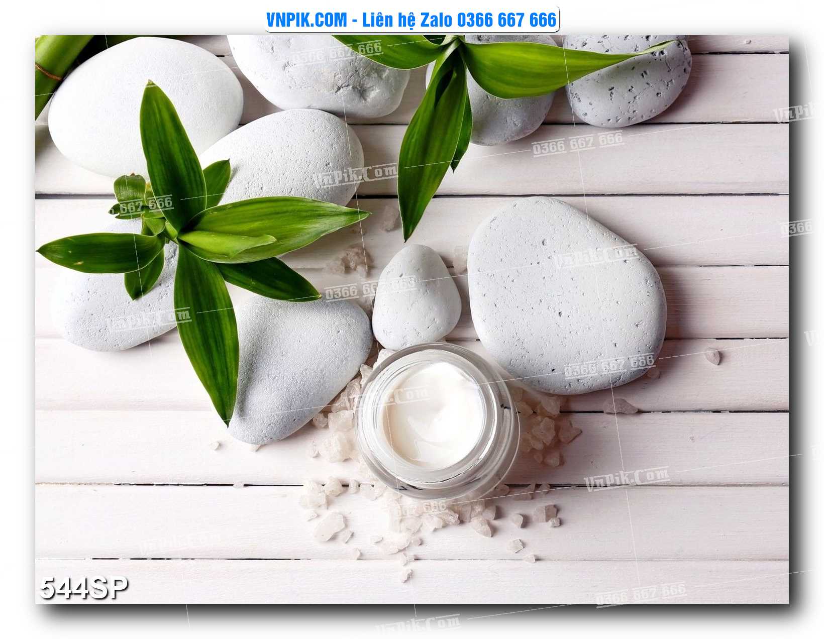 Mẫu tranh spa treo tường đẹp file vector – psd mẫu 544SP