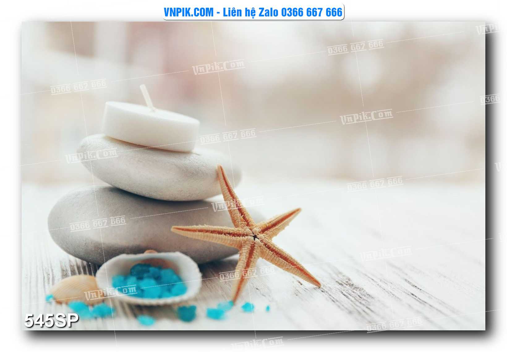 Mẫu tranh spa treo tường đẹp file vector – psd mẫu 545SP