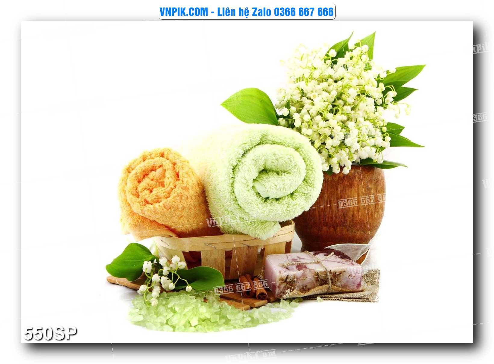 Mẫu tranh spa treo tường đẹp file vector – psd mẫu 550SP