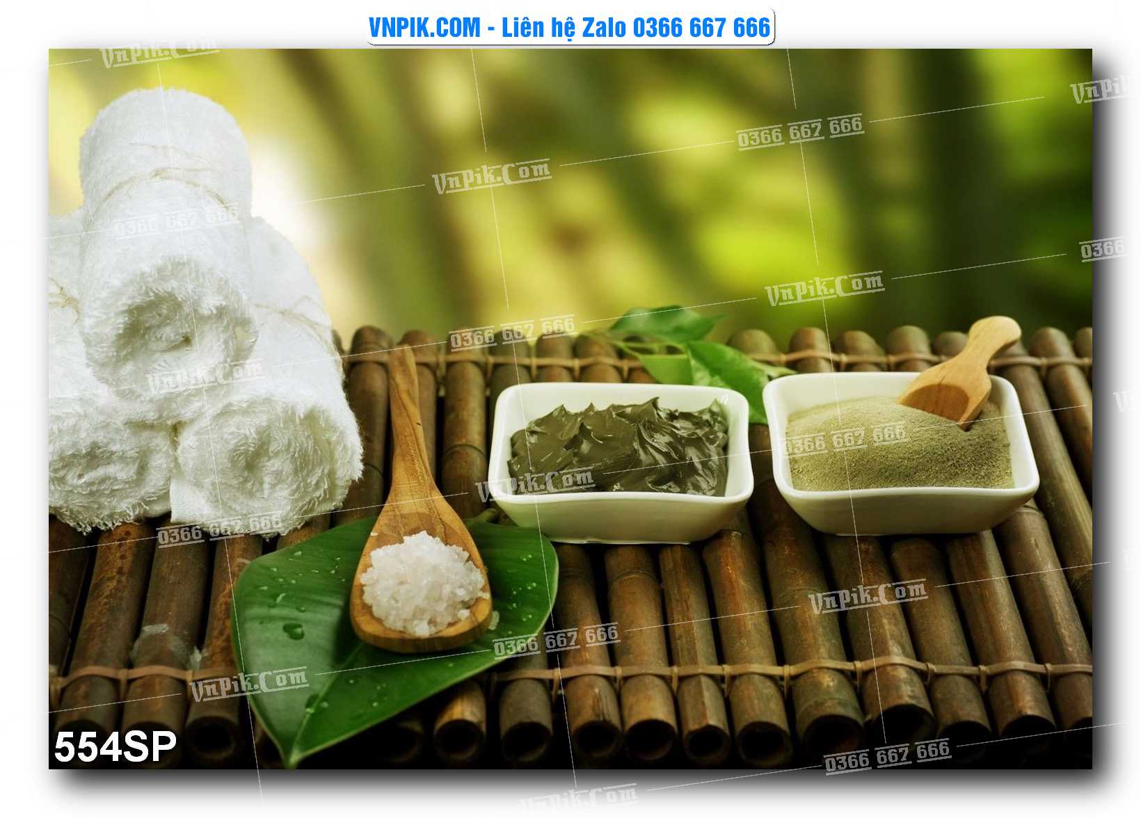 Mẫu tranh spa treo tường đẹp file vector – psd mẫu 554SP