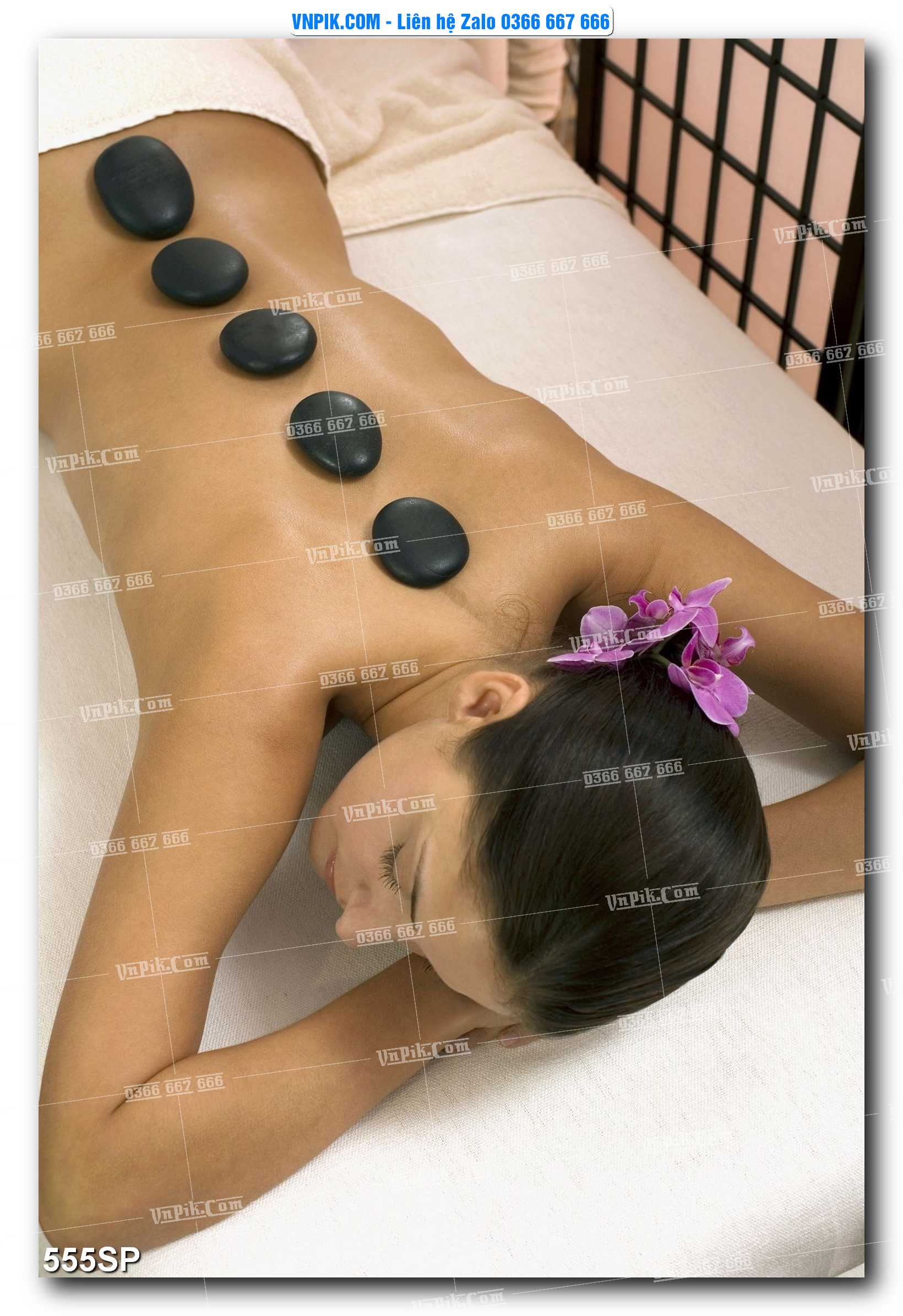 Mẫu tranh spa treo tường đẹp file vector – psd mẫu 555SP