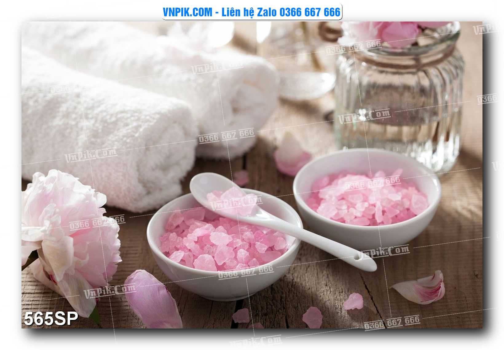 Mẫu tranh spa treo tường đẹp file vector – psd mẫu 564SP