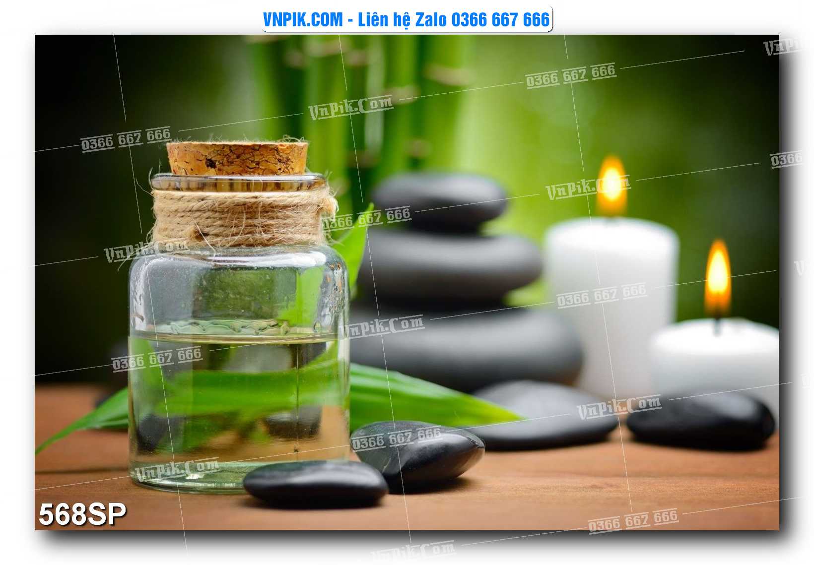 Mẫu tranh spa treo tường đẹp file vector – psd mẫu 568SP