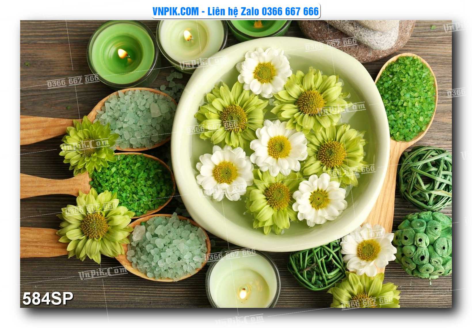 Mẫu tranh spa treo tường đẹp file vector – psd mẫu 584SP