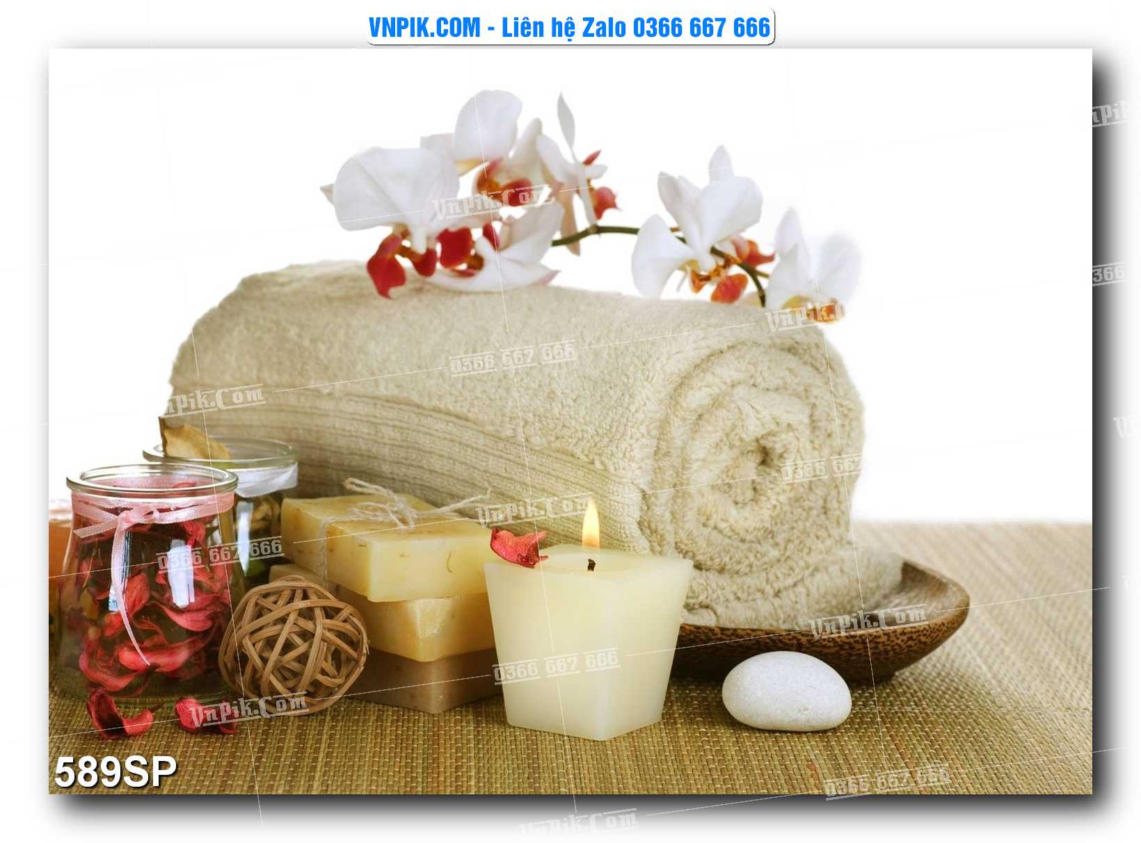 Mẫu tranh spa treo tường đẹp file vector – psd mẫu 589SP