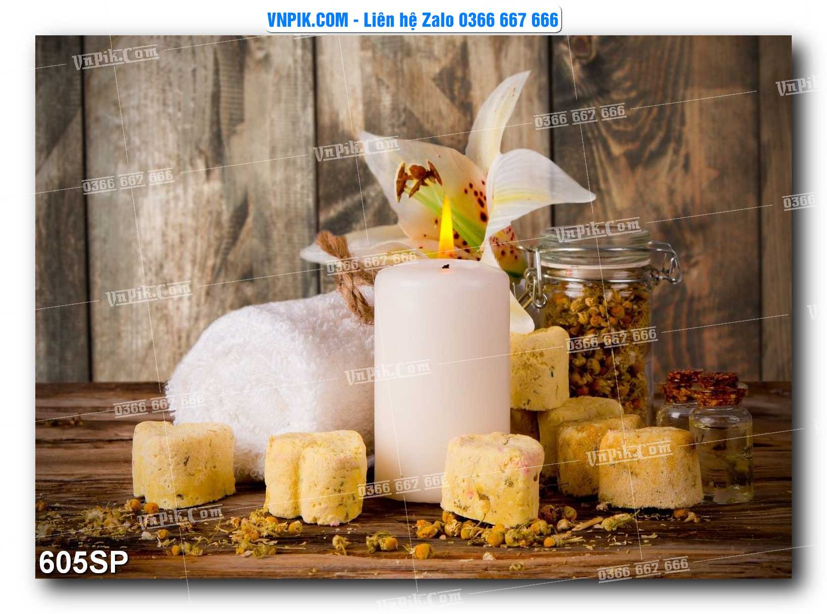 Mẫu tranh spa treo tường đẹp file vector – psd mẫu 605SP