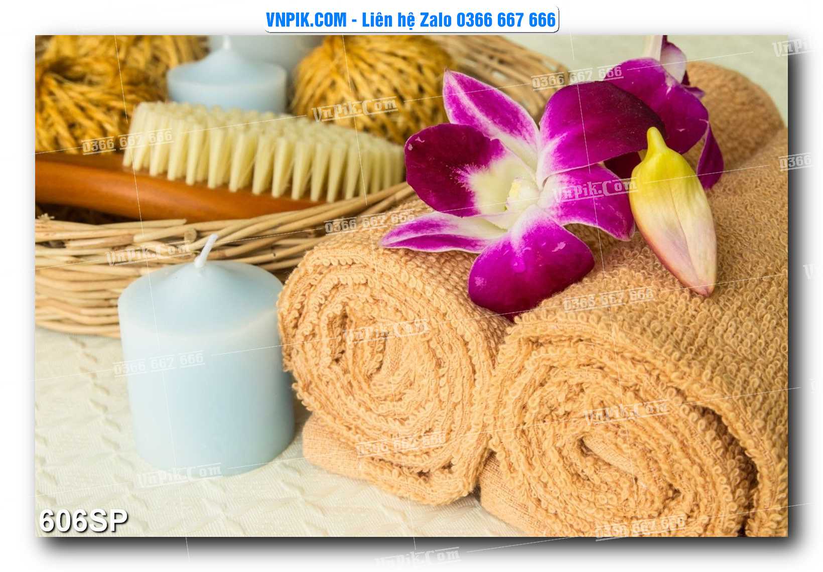 Mẫu tranh spa treo tường đẹp file vector – psd mẫu 606SP