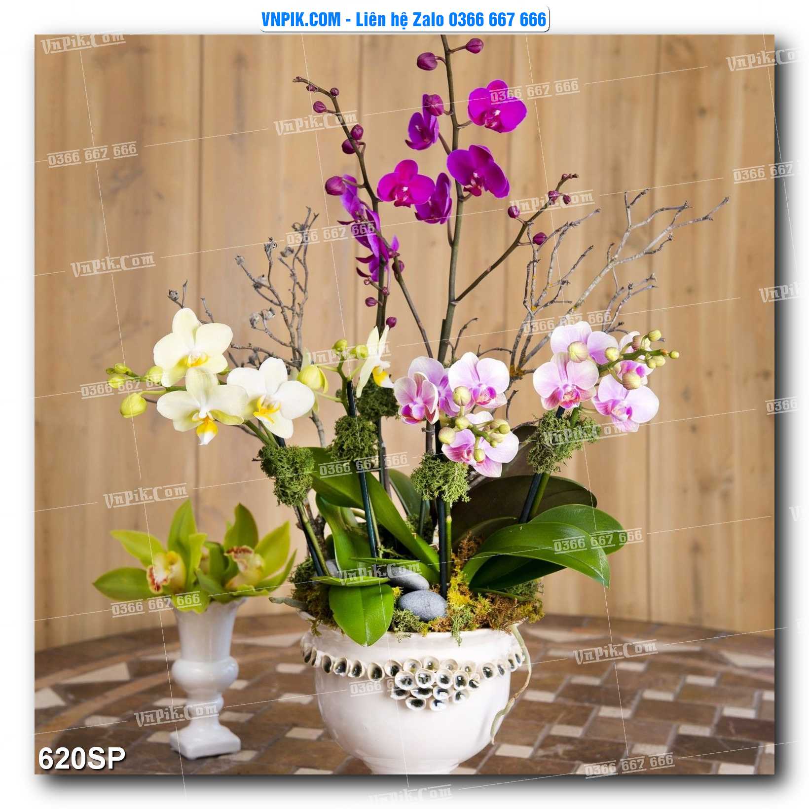 Mẫu tranh spa treo tường đẹp file vector – psd mẫu 620SP