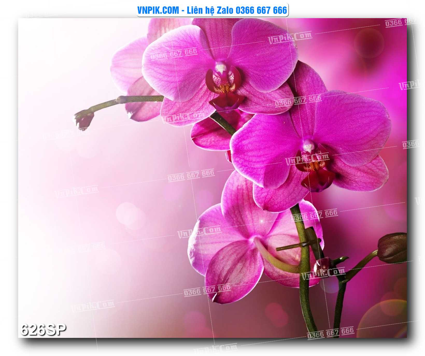 Mẫu tranh spa treo tường đẹp file vector – psd mẫu 626SP