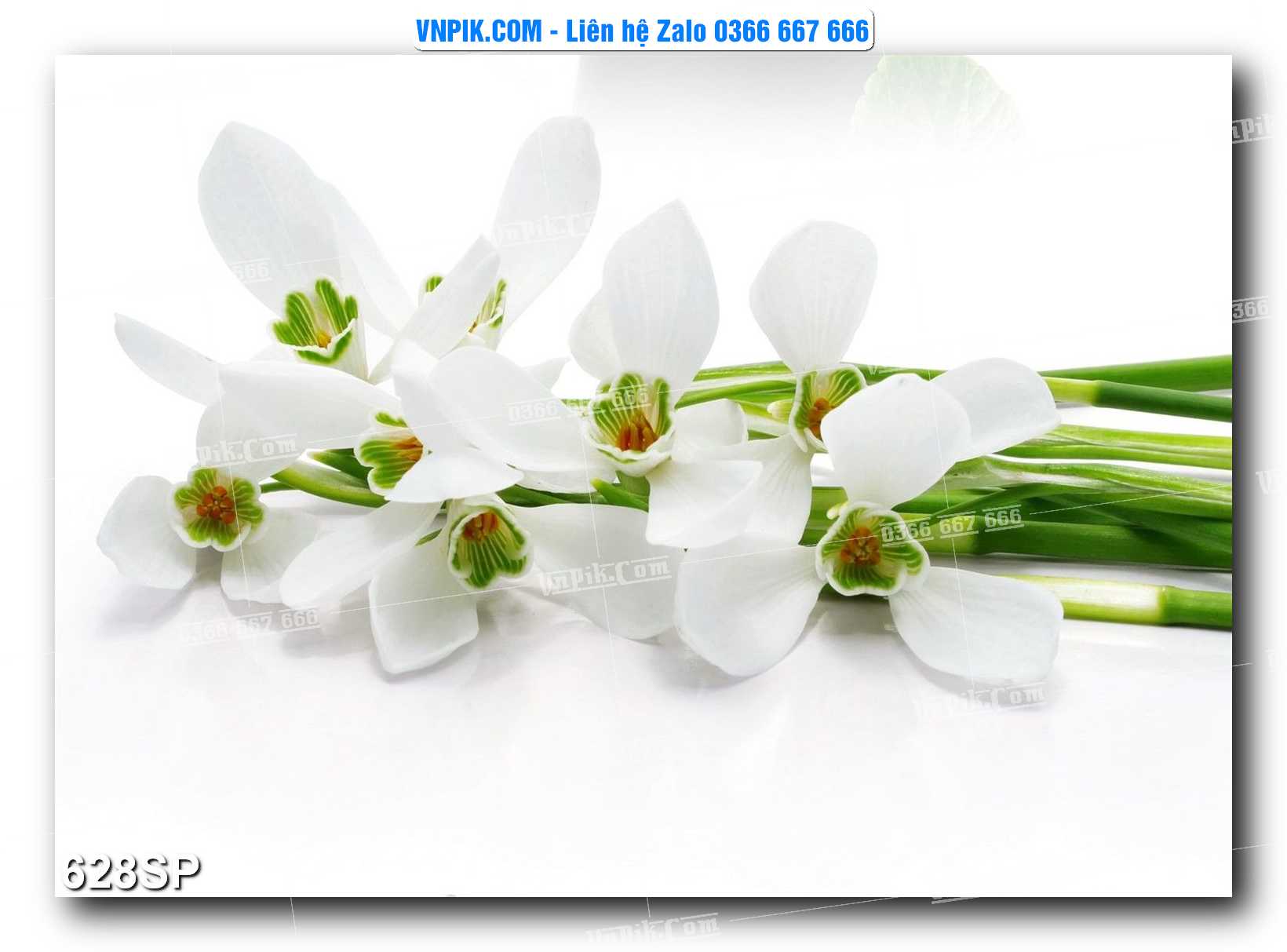 Mẫu tranh spa treo tường đẹp file vector – psd mẫu 628SP