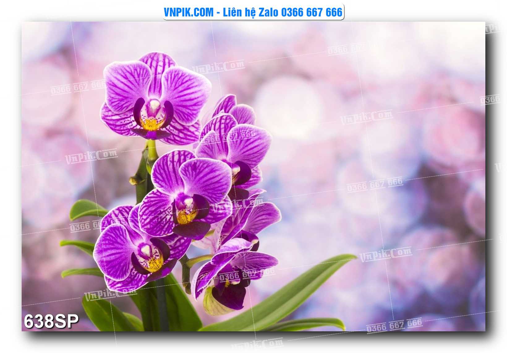 Mẫu tranh spa treo tường đẹp file vector – psd mẫu 638SP