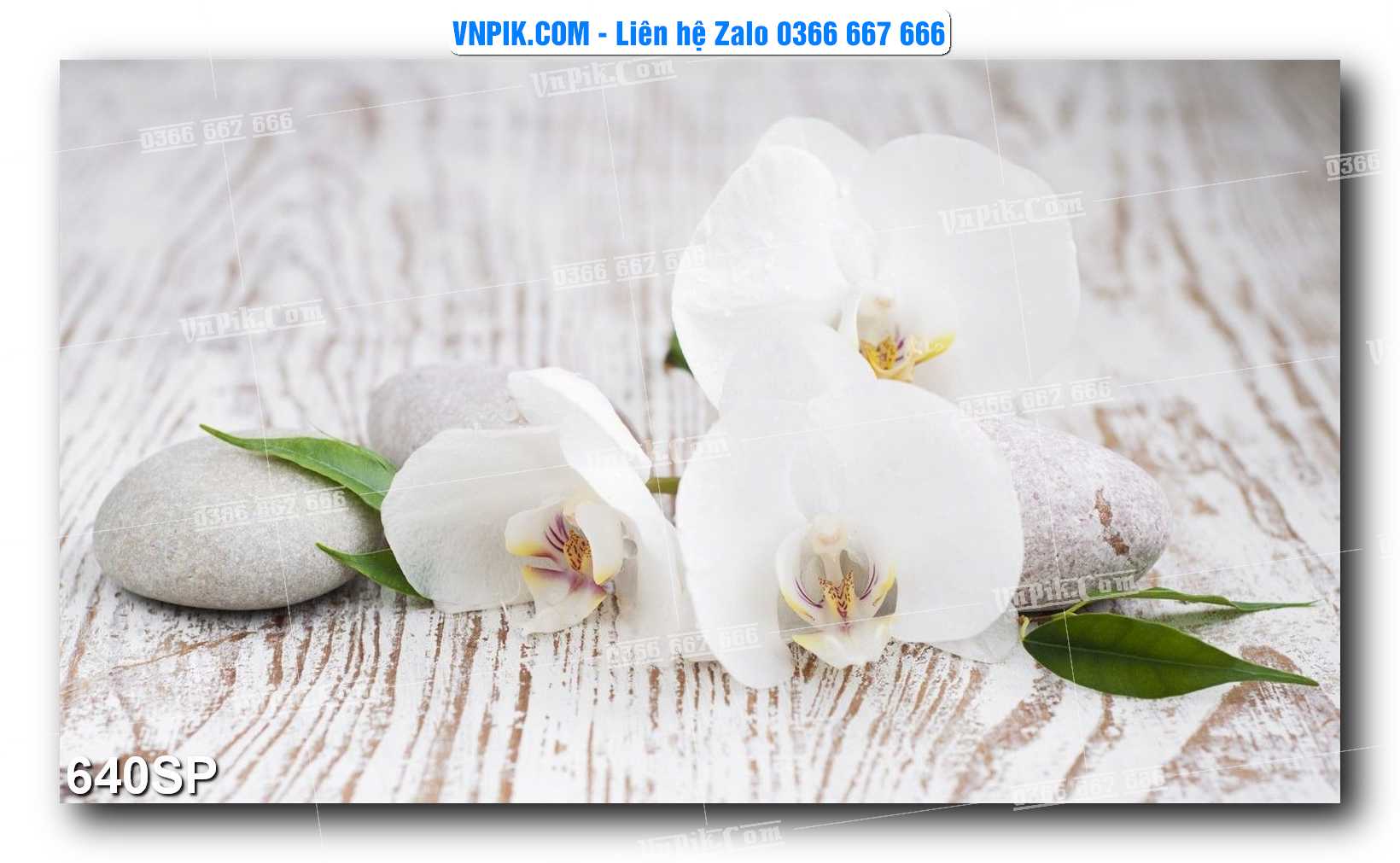 Mẫu tranh spa treo tường đẹp file vector – psd mẫu 640SP