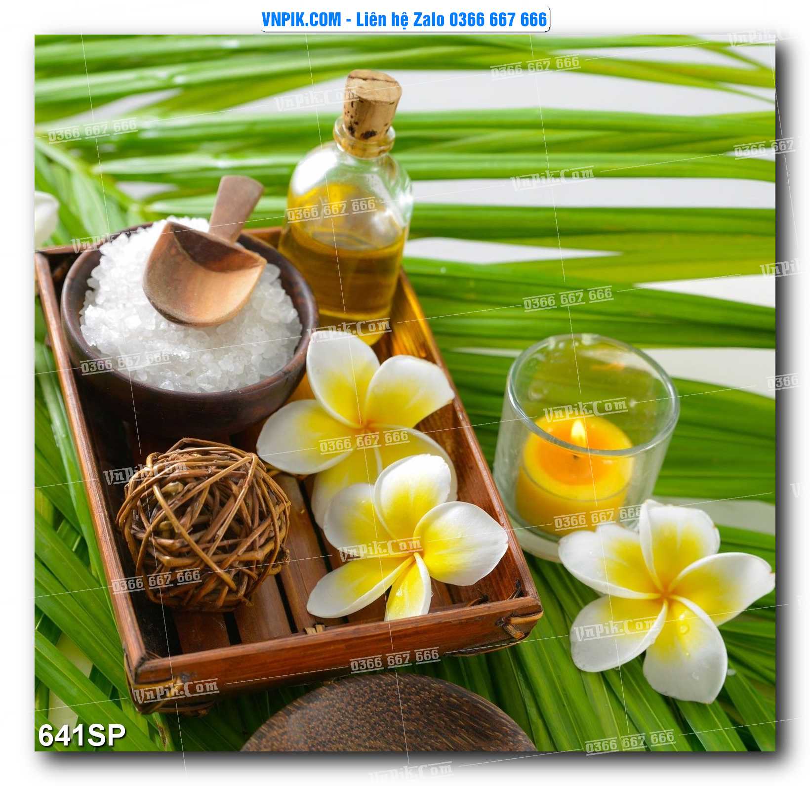 Mẫu tranh spa treo tường đẹp file vector – psd mẫu 641SP