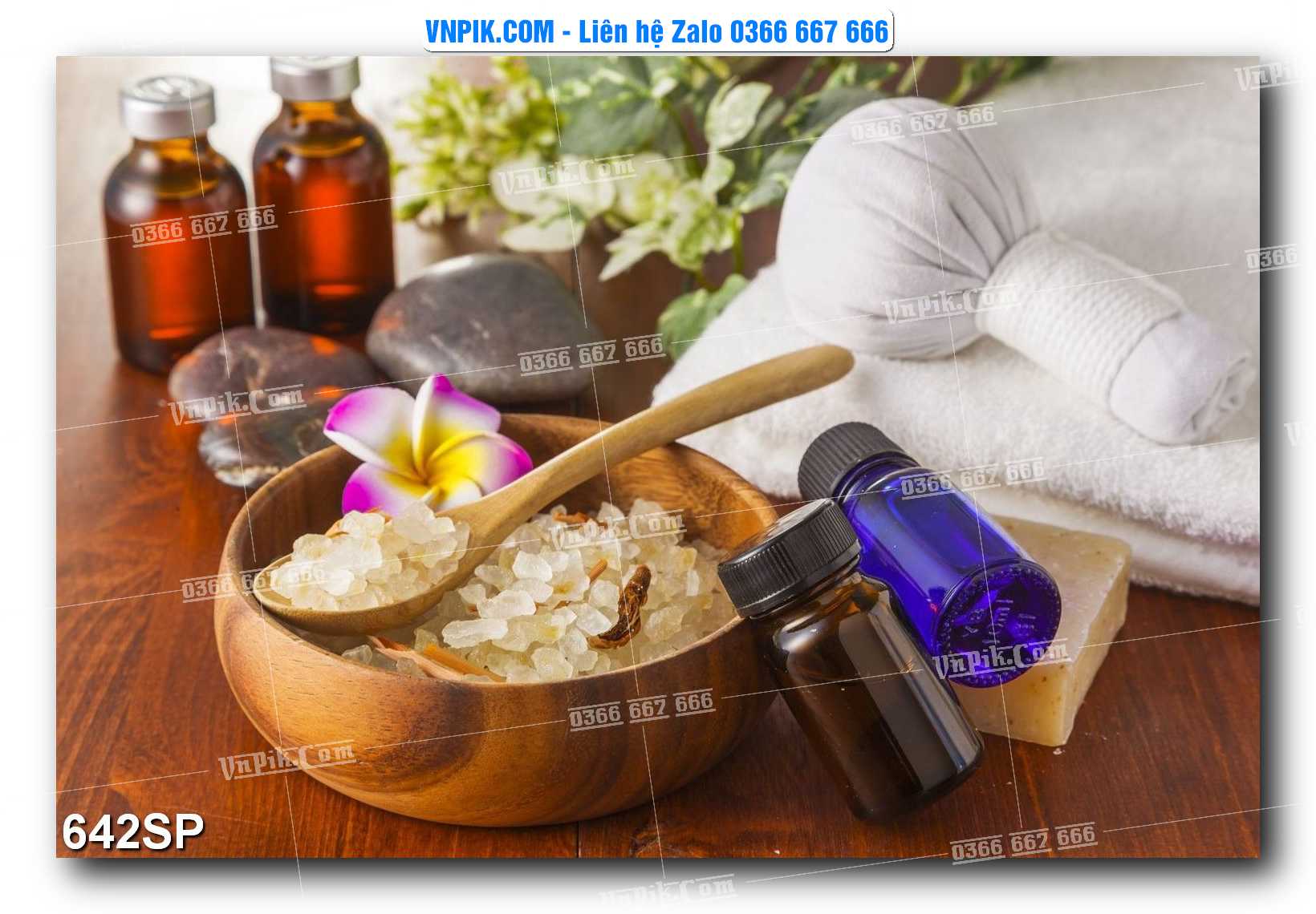Mẫu tranh spa treo tường đẹp file vector – psd mẫu 642SP