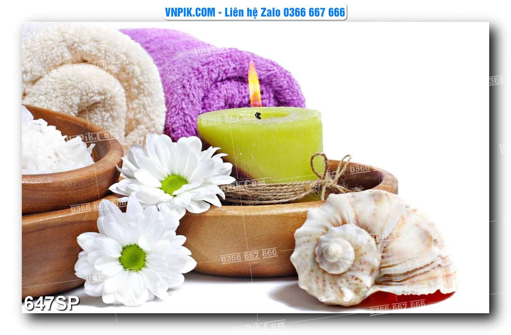 Mẫu tranh spa treo tường đẹp file vector – psd mẫu 647SP