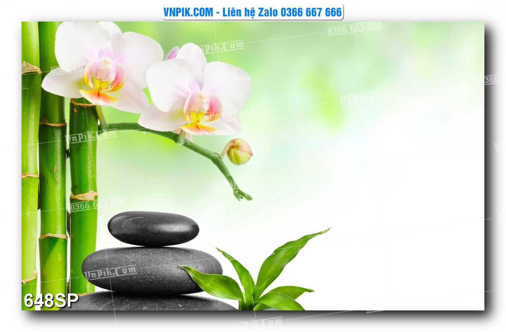 Mẫu tranh spa treo tường đẹp file vector – psd mẫu 648SP