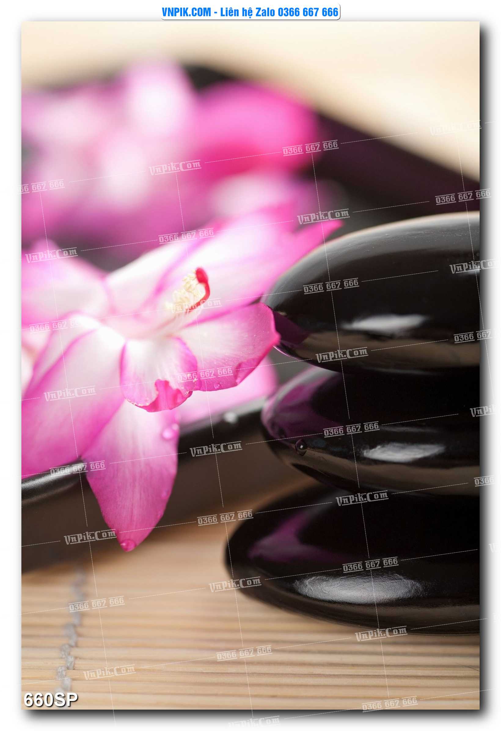 Mẫu tranh spa treo tường đẹp file vector – psd mẫu 660SP