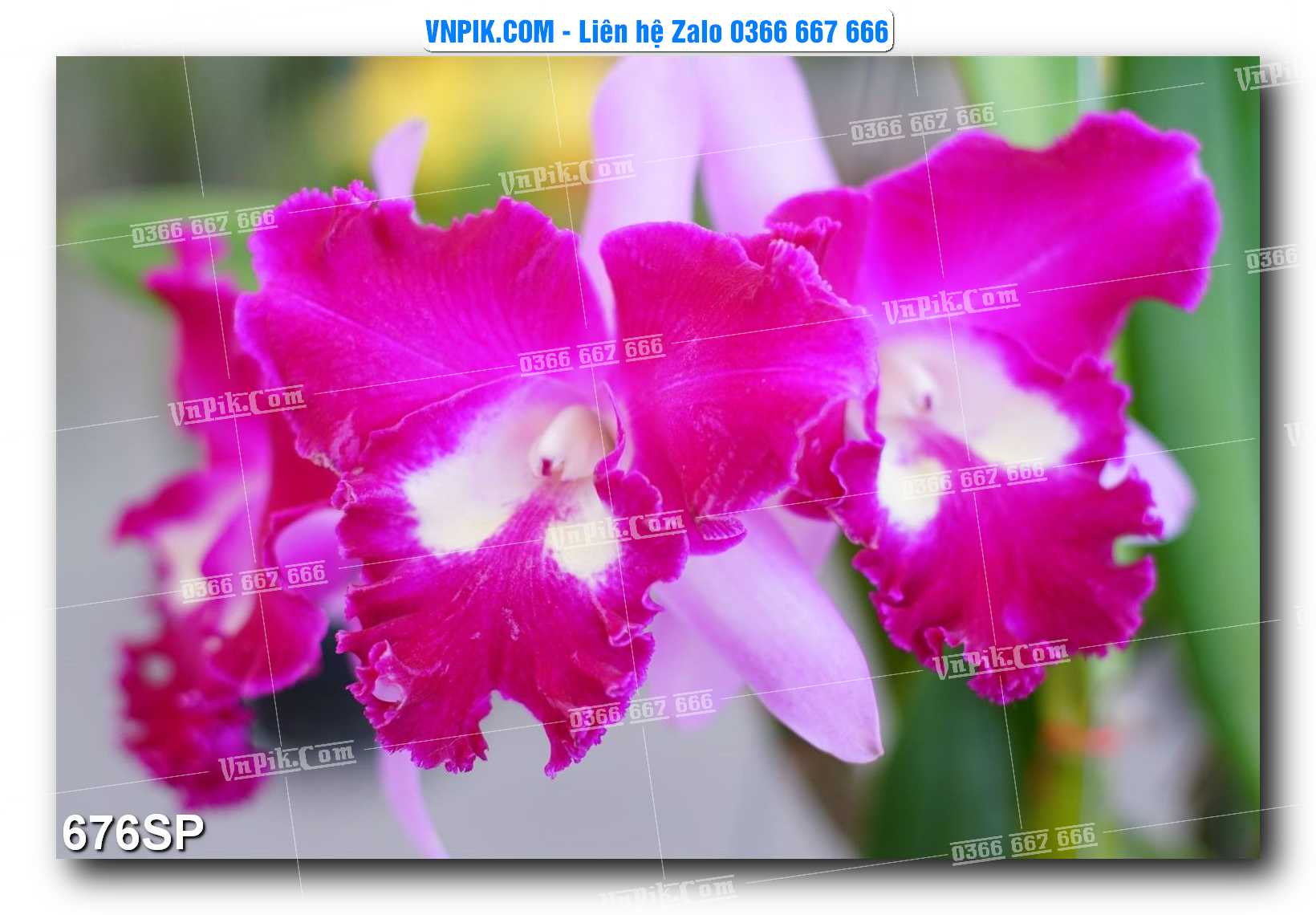 Mẫu tranh spa treo tường đẹp file vector – psd mẫu 676SP