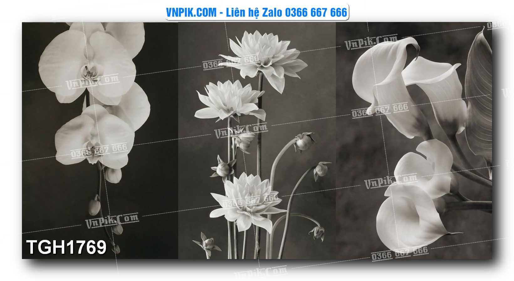 Tranh Ghép Treo Tường Mã File TGH1769