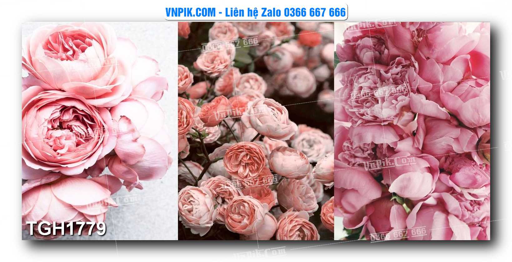 Tranh Ghép Treo Tường Mã File TGH1779
