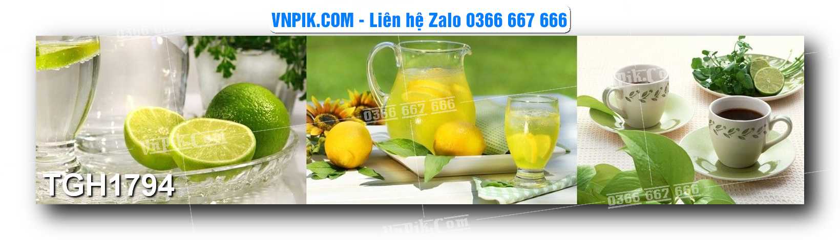 Tranh Ghép Treo Tường Mã File TGH1794