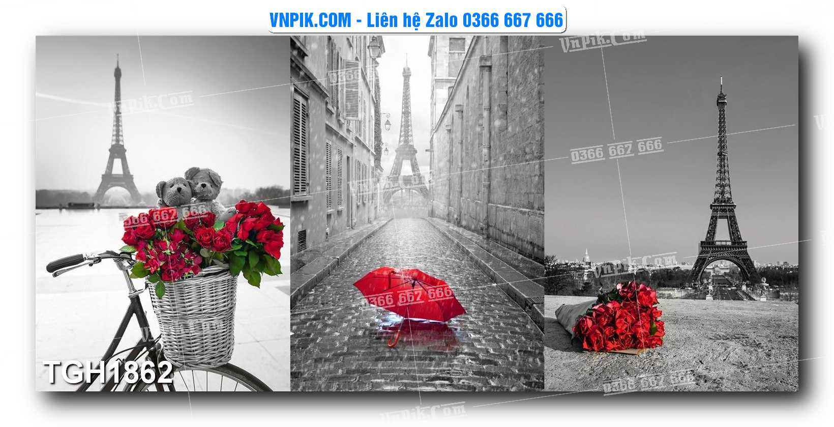 Tranh Ghép Treo Tường Mã File TGH1862