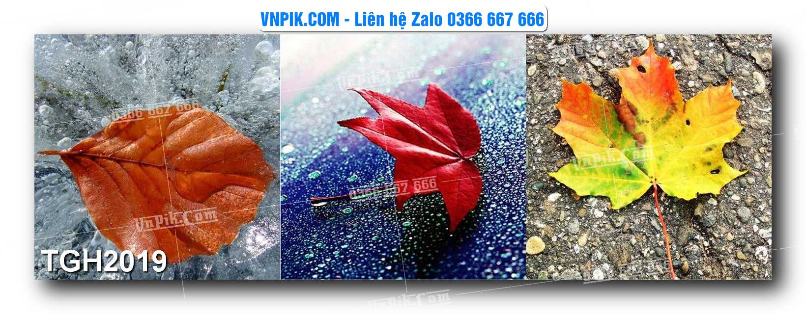 Tranh Ghép Treo Tường Mã File TGH2019