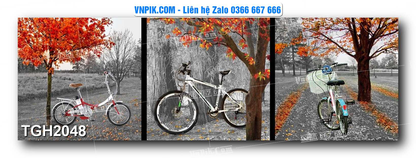 Tranh Ghép Treo Tường Mã File TGH2048