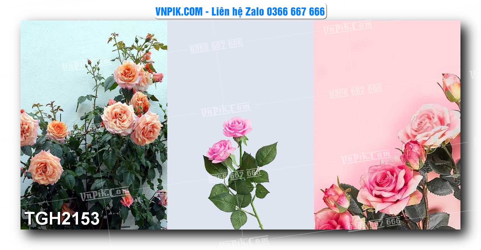 Tranh Ghép Treo Tường Mã File TGH2153