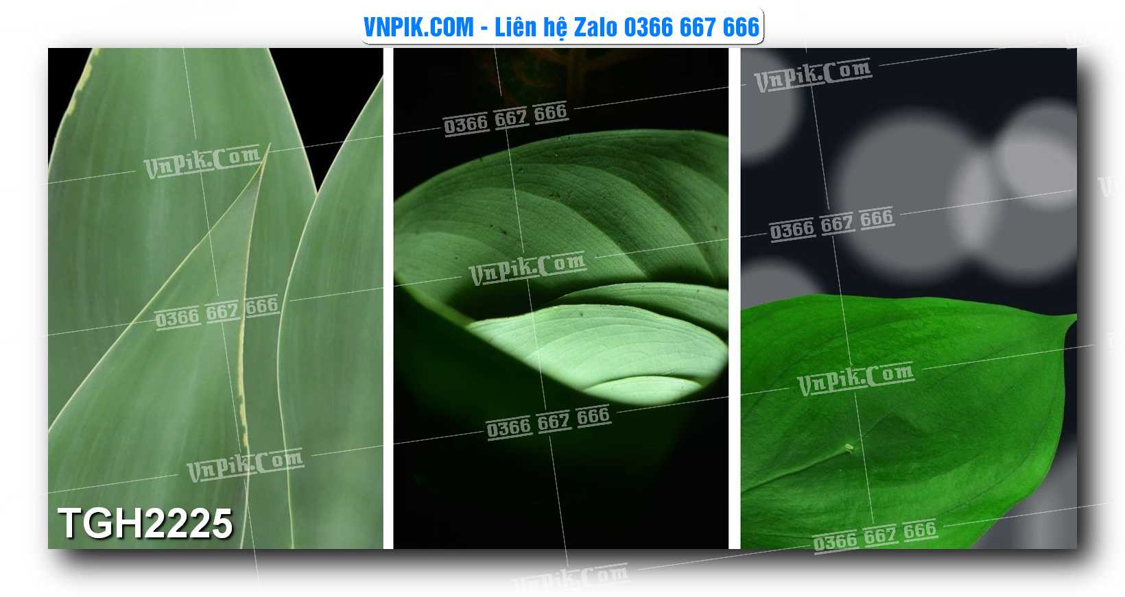 Tranh Ghép Treo Tường Mã File TGH2225