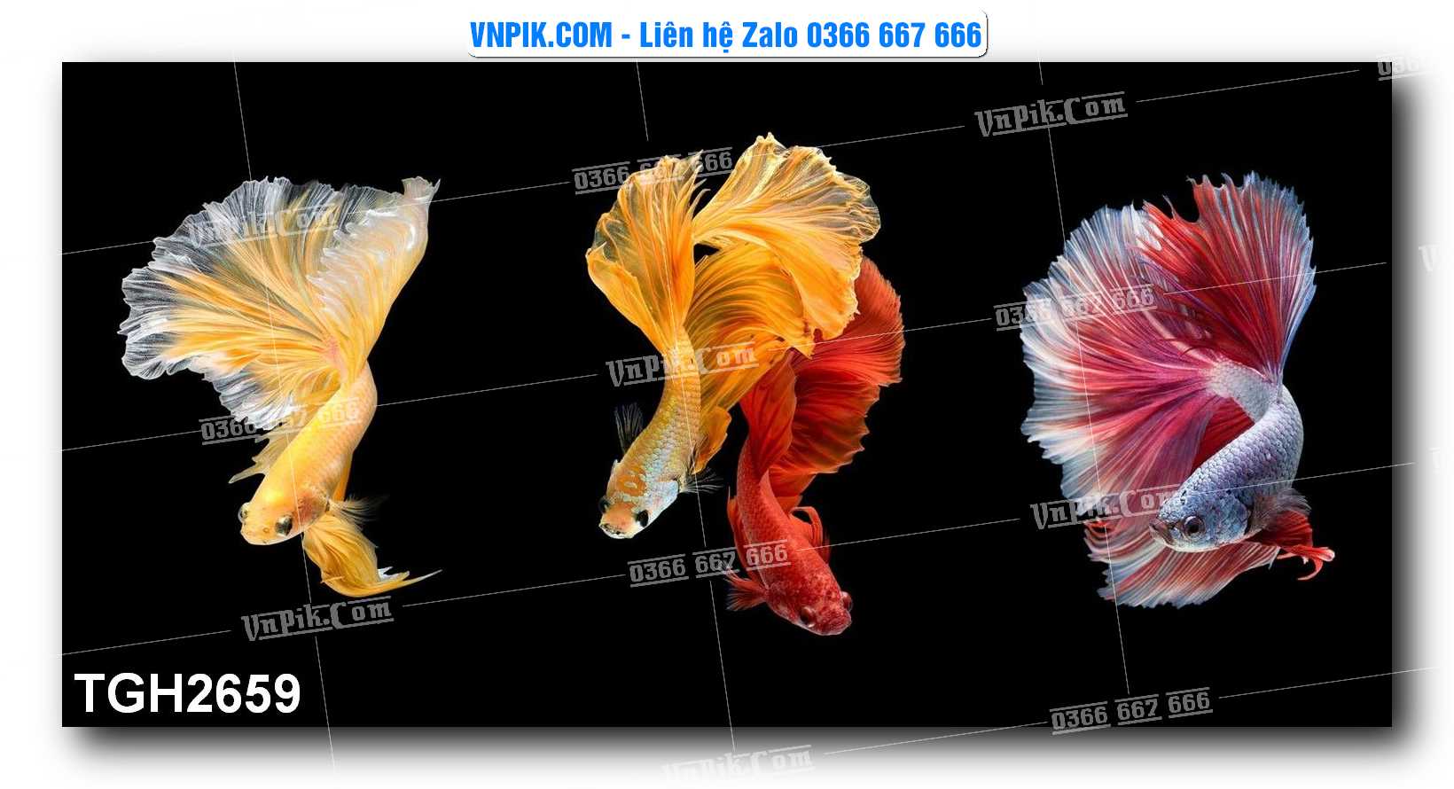 Tranh Ghép Treo Tường Mã File TGH2659