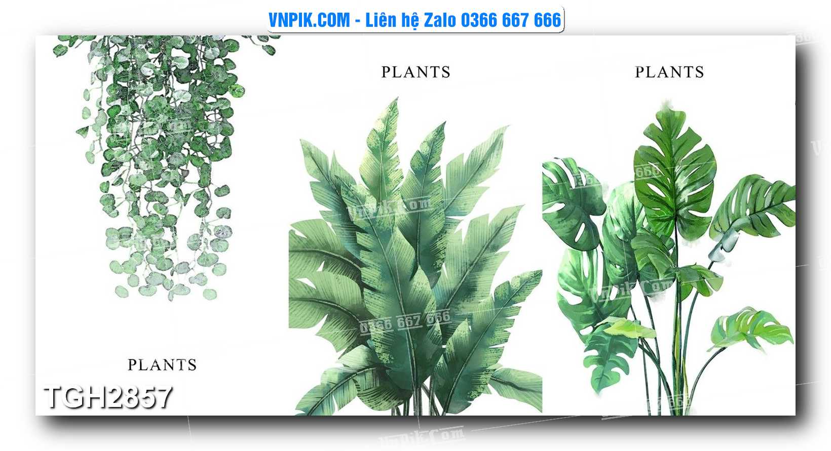 Tranh Ghép Treo Tường Mã File TGH2856