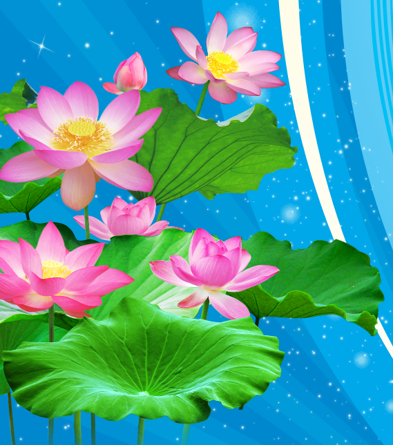 Phông nền xanh trống đồng chìm chân hoa sen vector