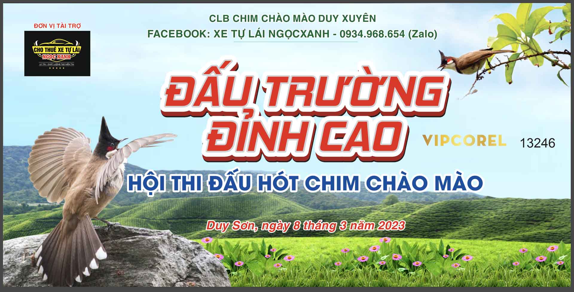 Market Hội thi đấu chim hót chào mào vector