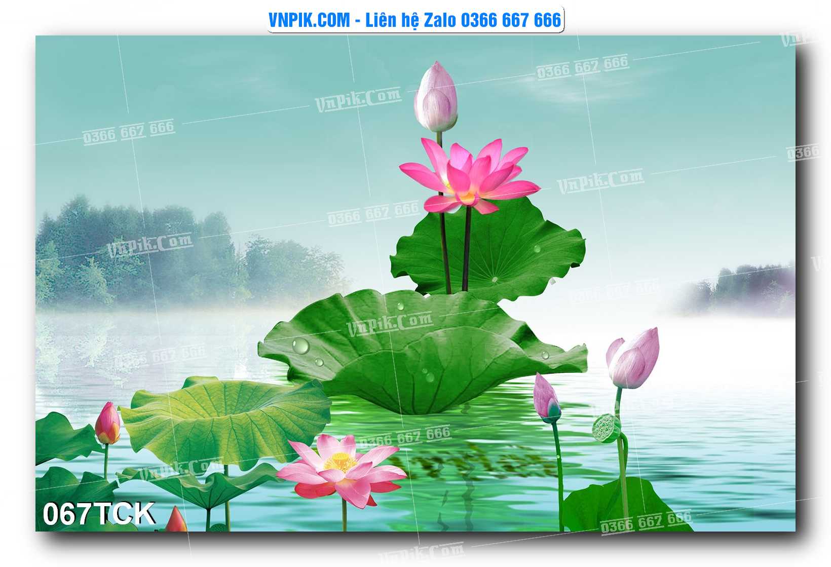 Tranh Hoa Sen – Cá Koi – Cá Chép  067TCK