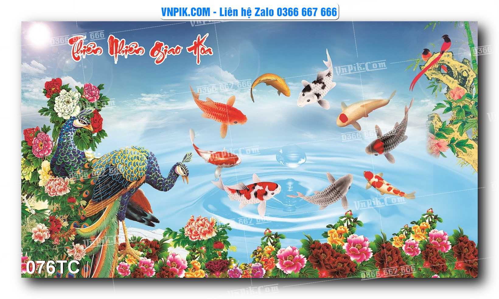 Tranh Treo Tường – Chim Công Hoa Mẫu Đơn 076TC