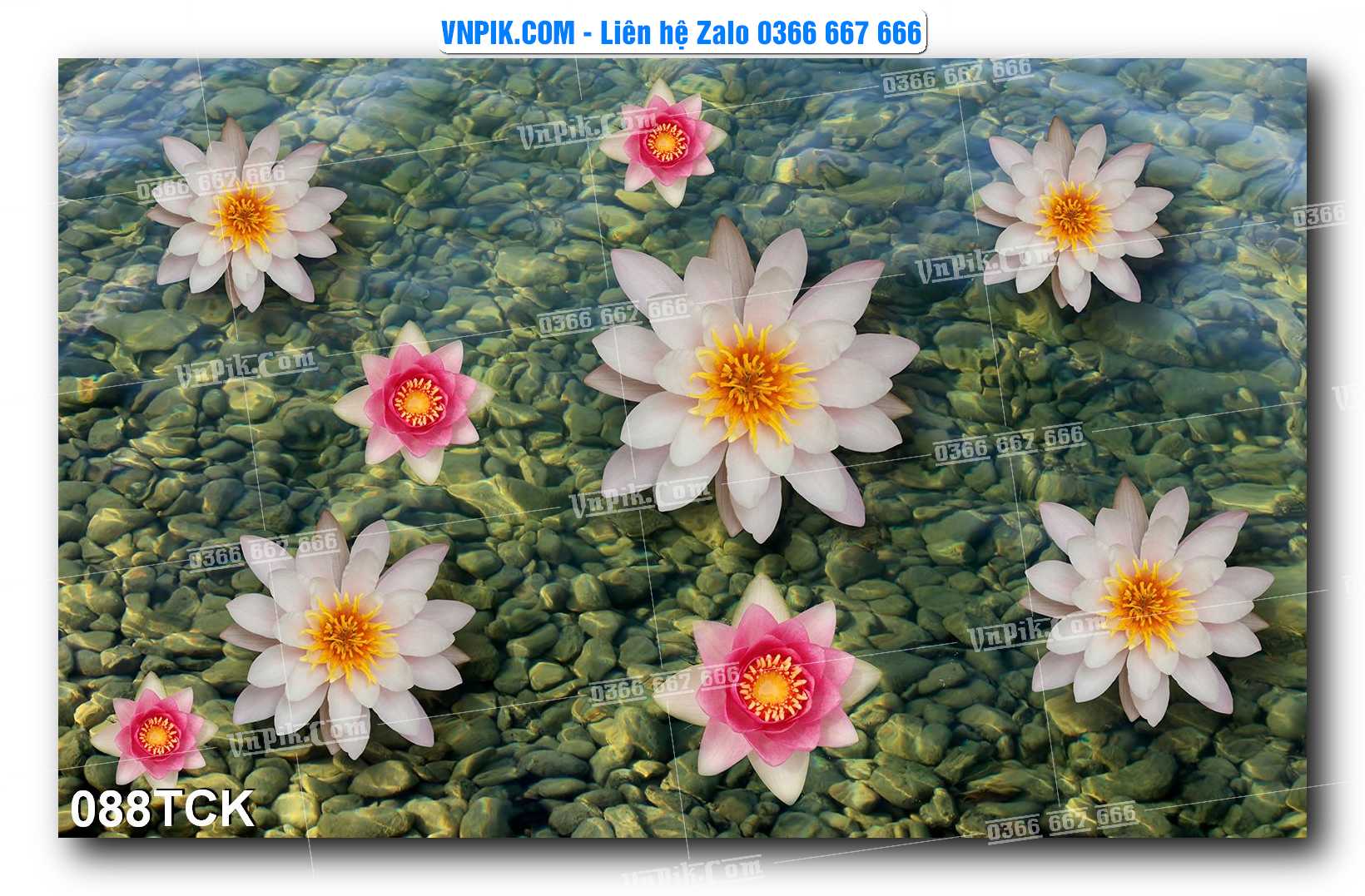 Tranh Hoa Sen – Cá Koi – Cá Chép  088TCK