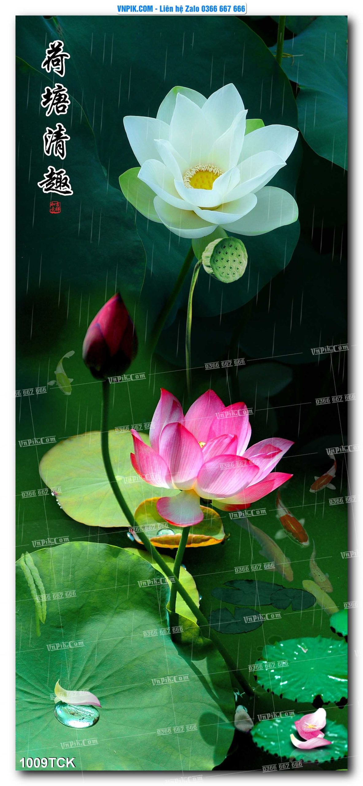 Tranh Hoa Sen – Cá Koi – Cá Chép 1009TCK