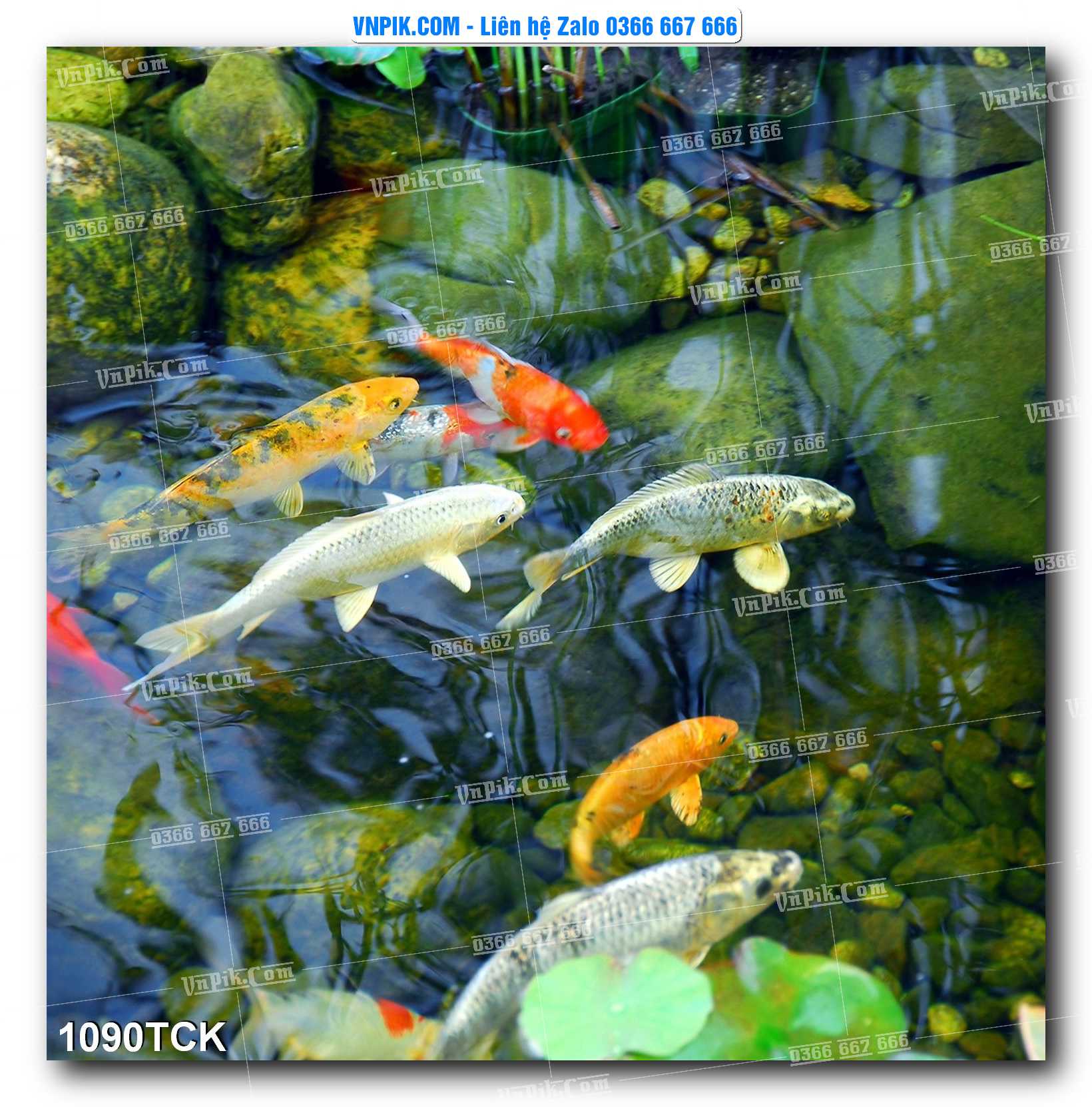 Tranh Hoa Sen – Cá Koi – Cá Chép 1090TCK