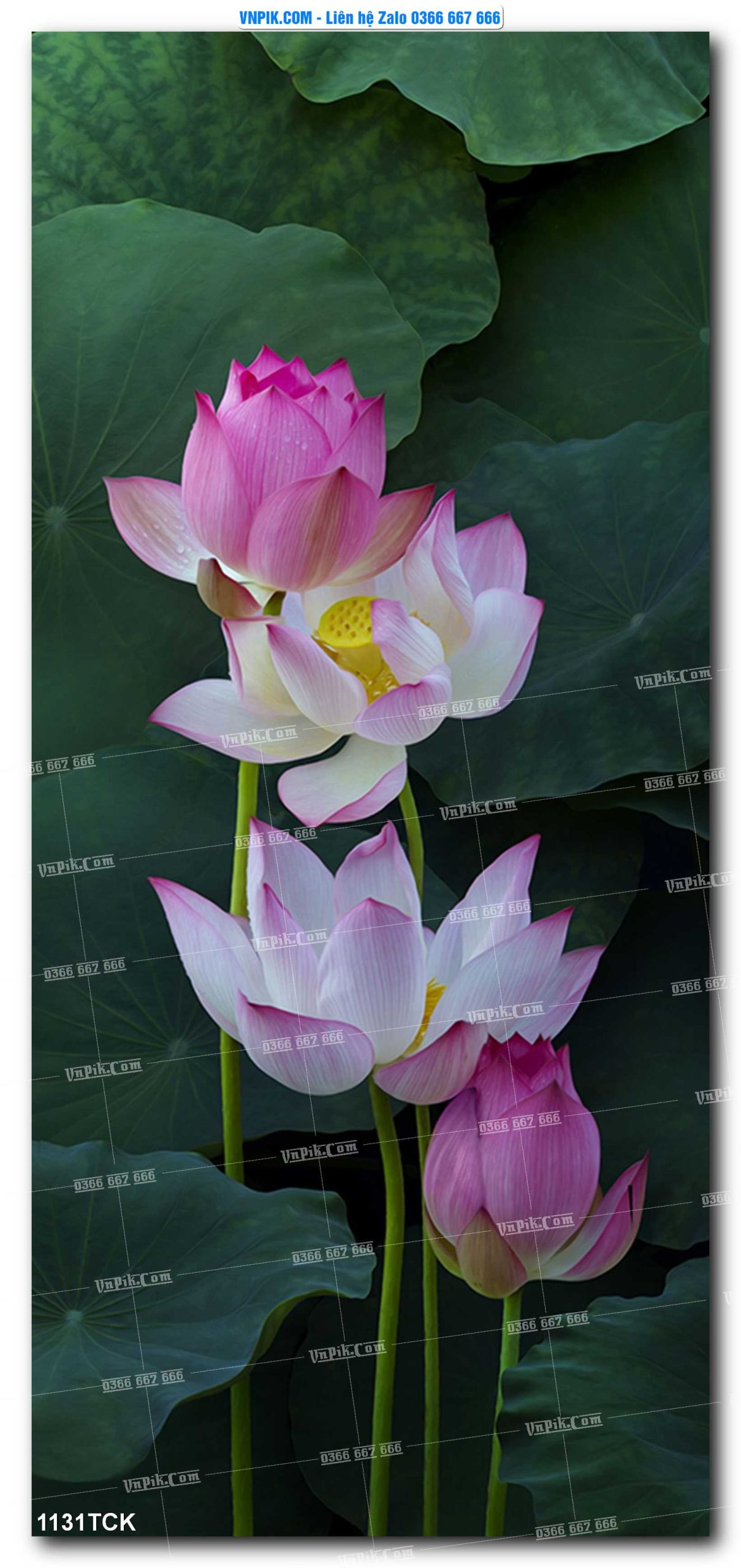 Tranh Hoa Sen – Cá Koi – Cá Chép 1131TCK