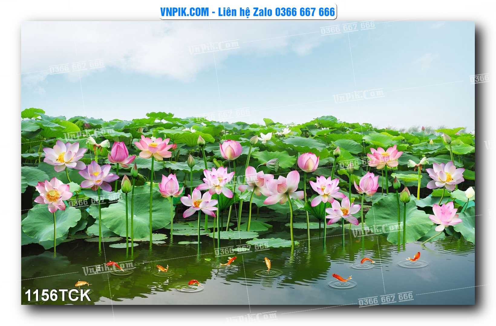 Tranh Hoa Sen – Cá Koi – Cá Chép 1156TCK