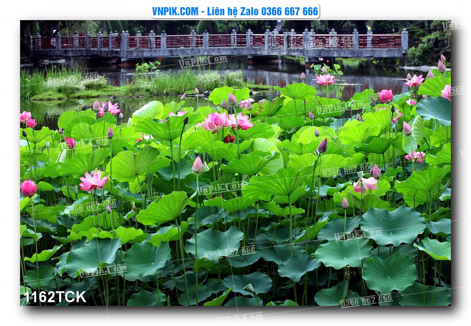Tranh Hoa Sen – Cá Koi – Cá Chép 1159TCK