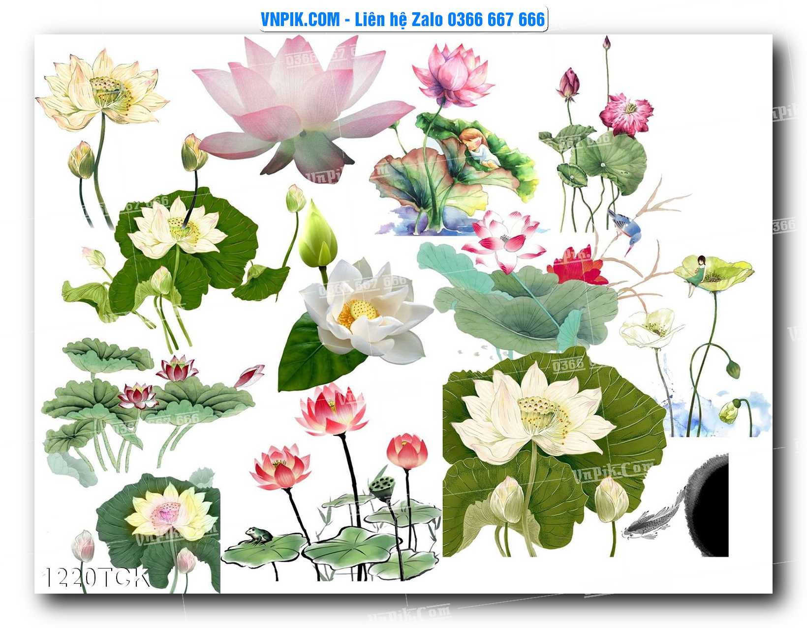 Tranh Hoa Sen – Cá Koi – Cá Chép 1220TCK
