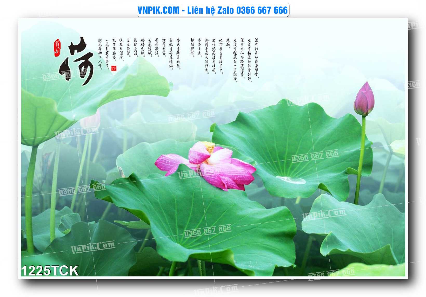 Tranh Hoa Sen – Cá Koi – Cá Chép 1225TCK