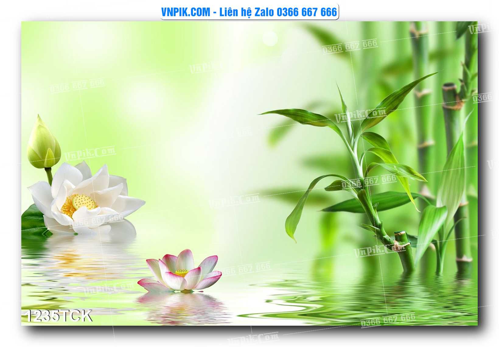 Tranh Hoa Sen – Cá Koi – Cá Chép 1232TCK