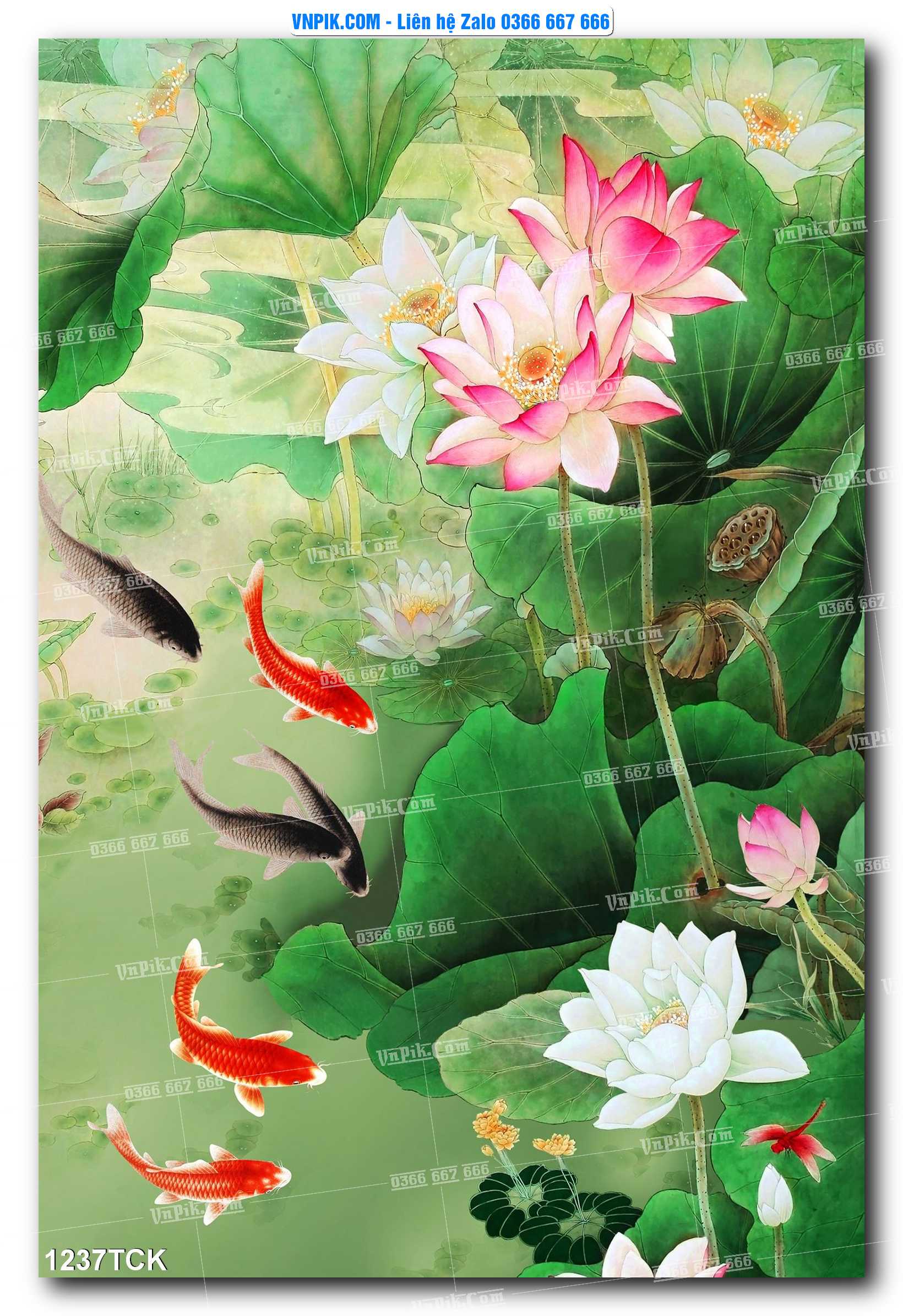 Tranh Hoa Sen – Cá Koi – Cá Chép 1234TCK